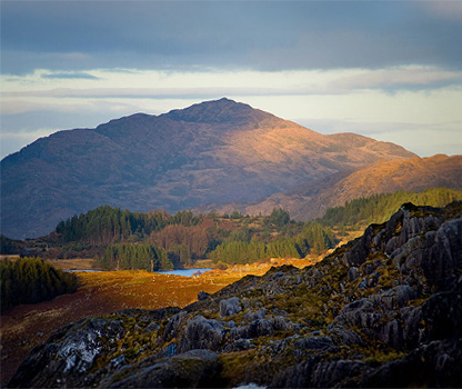 Sunlit valley with mountain in background