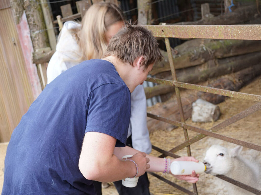 Two women feeding a baby lamb