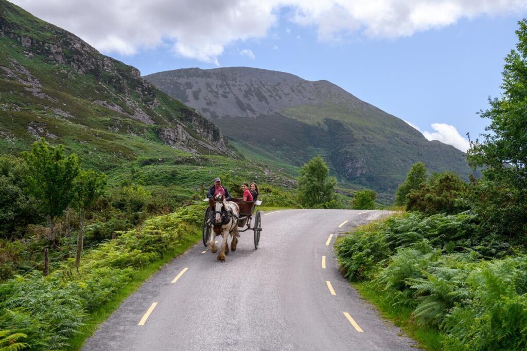 Pony trap ride through Irish landscape.